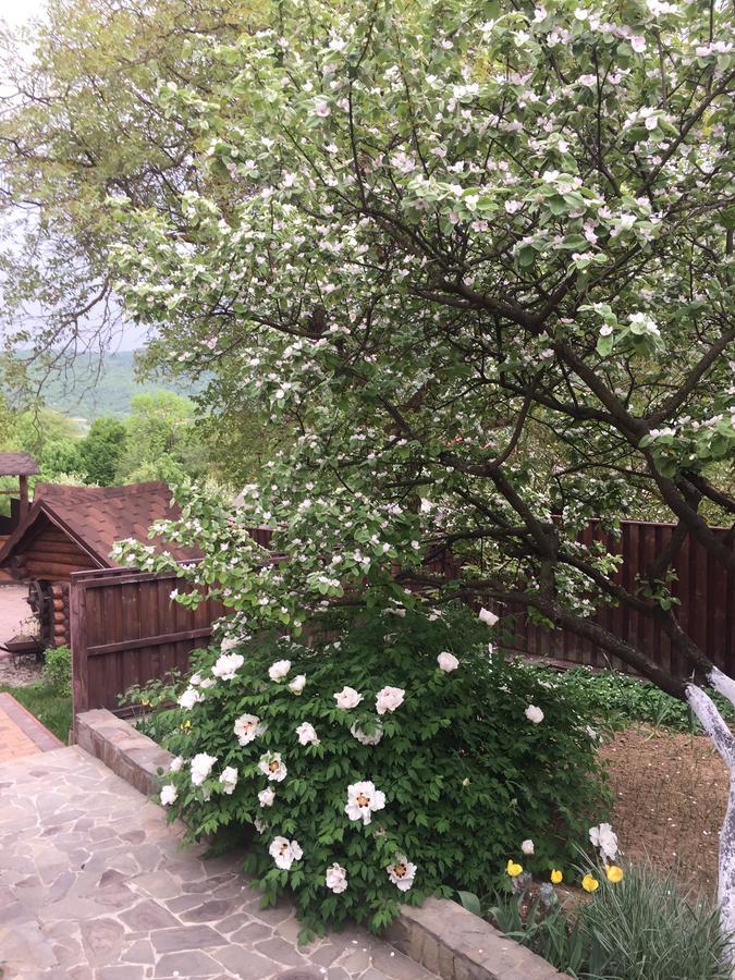 Liubava Polyana (Transcarpathia) Exterior foto